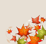 Background with red maple leaves