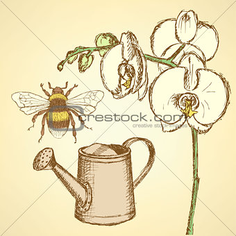 Sketch orchid, bee and watering can