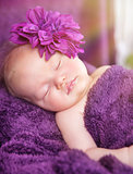 Cute newborn girl sleeping