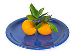 Tangerines with branch on dark blue plate