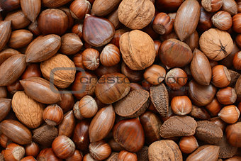 Mixed nuts - chestnuts, pecans, walnuts, brazils and hazelnuts