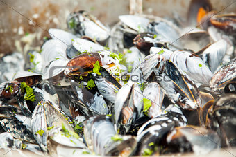 Mussels n white wine closeup