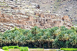 Jebel Akhdar