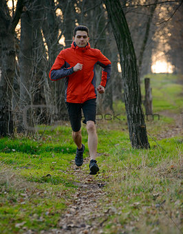 Young Man Running on the Trail in the Wild Forest