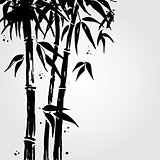 Bamboo in Chinese style.