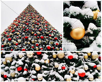 Collage of snow-covered christmas tree