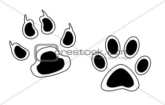 Sketch footprints of animals with claws and without