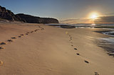 Turrimetta Beach sunrise with sundog halo