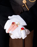 Magician Hands with Gloves and Rings