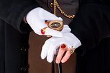Magician Hands with Gloves and Rings