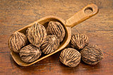 black walnuts in rustic scoop