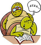 sleeping turtle on lesson cartoon
