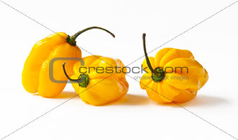 Yellow habanero peppers