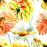 Beautiful chrysanthemum and chamomile flowers