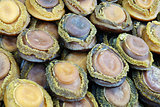 Dried abalone