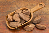 Brazilian nuts in rustic scoop