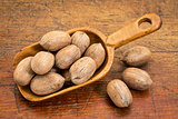 pecan nuts in rustic scoop