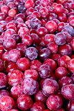 Fresh organic plum fruit background, photo taken at local farmer