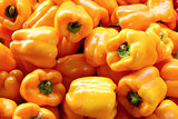 Fresh organic bell pepper background,