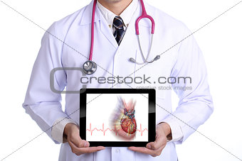 Doctor show heart beat graph