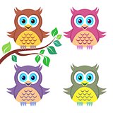 Colorful owls