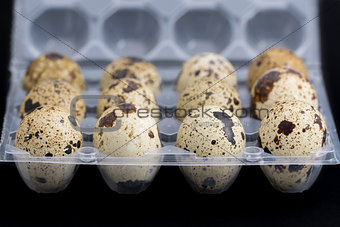 Quail eggs on egg box, side view, focus on front, black background