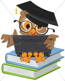 Owl sitting on books and holding a laptop