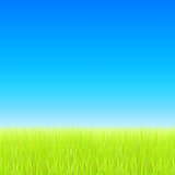 Green field and blue sky. Vector