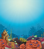 Coral reef and underwater creatures.