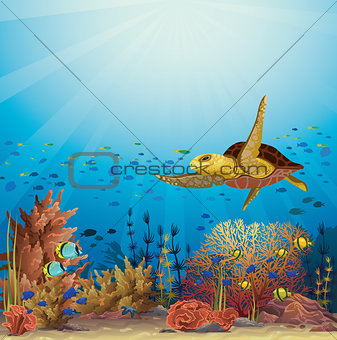 Turtle and coral reef. Underwater vector.