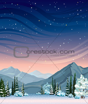 Winter night landscape with forest.