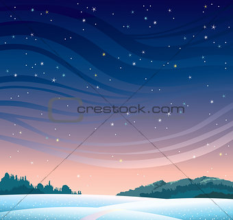 Winter night landscape.
