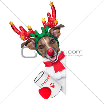 reindeer dog