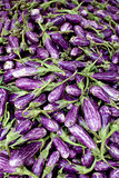 Fresh organic fairytale eggplant background,