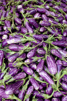 Fresh organic fairytale eggplant background,