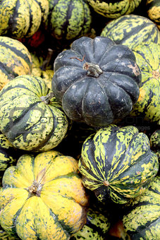 Fresh organic pumpkin background,