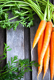 Fresh Organic Carrots
