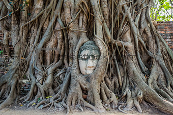 Buddha Head banyan tree Wat Mahathat Ayutthaya bangkok Thailand