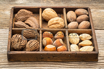 nuts in rustic wooden box