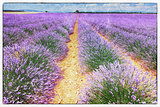 fresco style of the lavender field