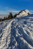 Postavaru Mountains in winter, Romania