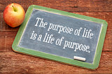 the purpose of life concept