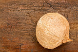 coconut on grunge wood