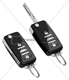 The car keys