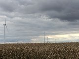 Wind Turbines Towering Over the Farms