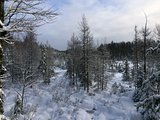 Northern Wisconsin Winter Wonderland