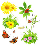 Collection of green leaves, flowers and insects