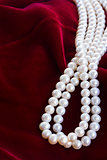 red velvet background with pearls