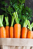 Fresh organic carrots in a paper bag