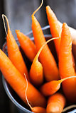 Fresh organic carrots